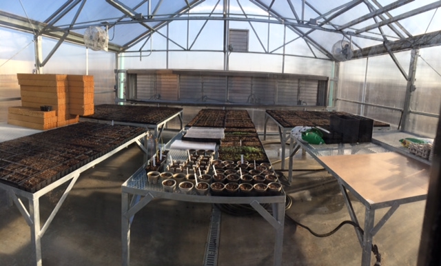 New Greenhouse - Okmulgee Community Garden & Container Garden Projects